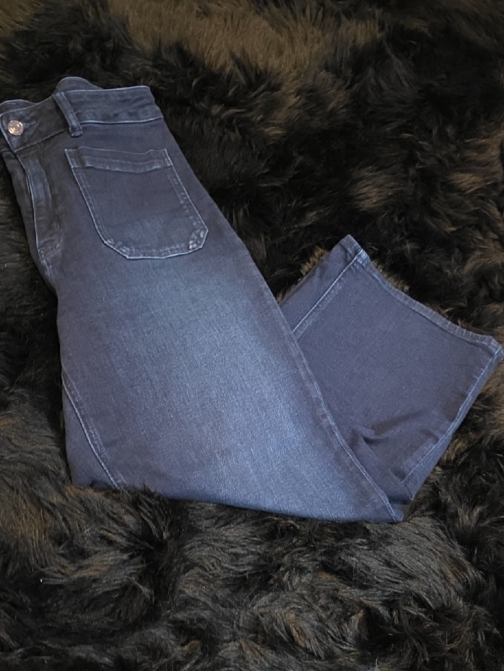 Quince Navy Blue Casual Jeans